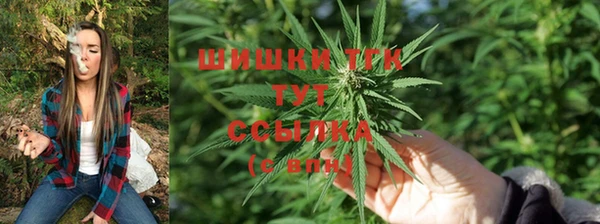 стафф Аркадак