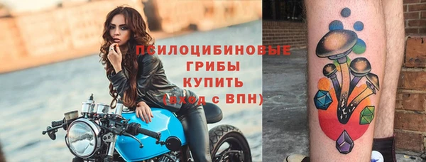 mdpv Арсеньев