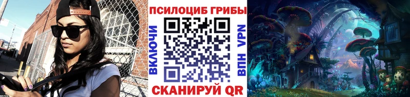 Псилоцибиновые грибы Psilocybine cubensis  магазин продажи наркотиков  Балей 